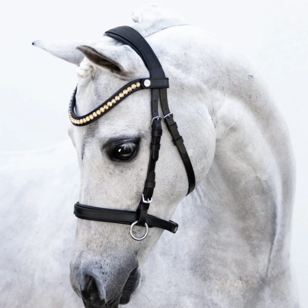 Lumi Iddy Biddy Bitless Bridle - Pony