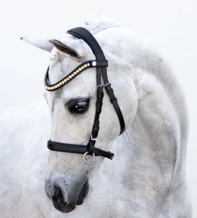 Lumi Iddy Biddy Bitless Bridle - Pony