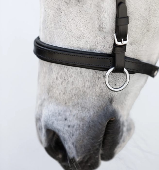 Lumi Iddy Biddy Bitless Bridle - Pony - Image 3
