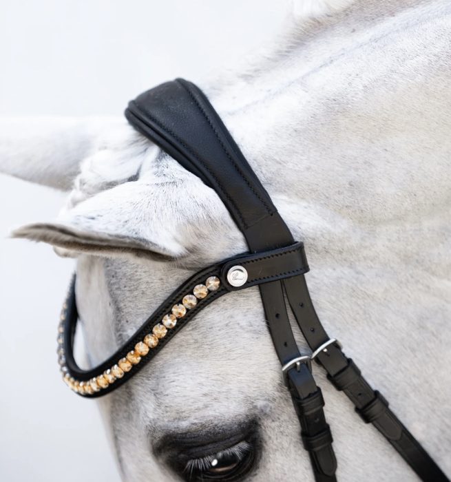 Lumi Iddy Biddy Bitless Bridle - Pony - Image 4