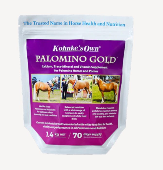 Kohnke Palomino GOLD