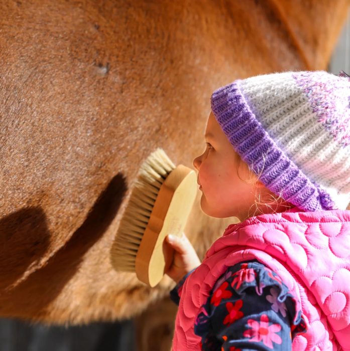 GeeGee 5 Piece Grooming Kit - Image 2