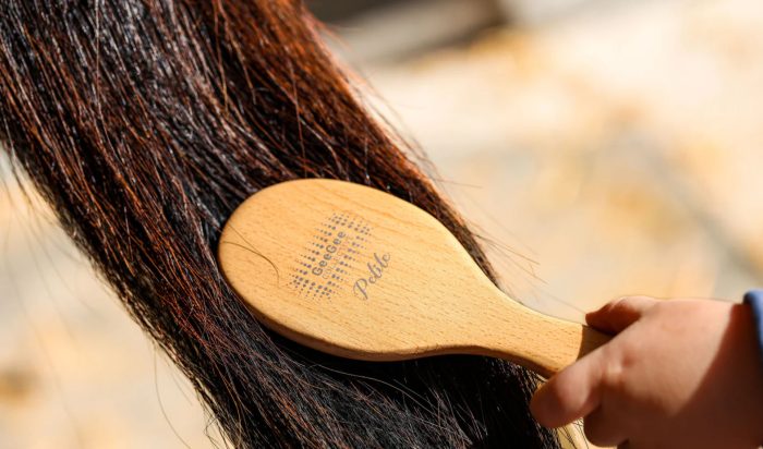 GeeGee 5 Piece Grooming Kit - Image 3