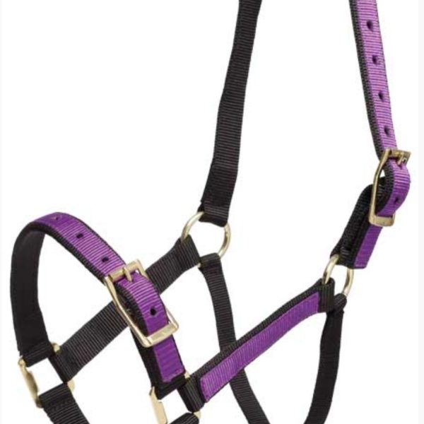 Overlay Halters - Full