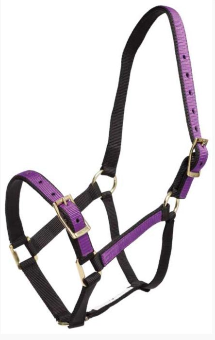 Overlay Halters - Full