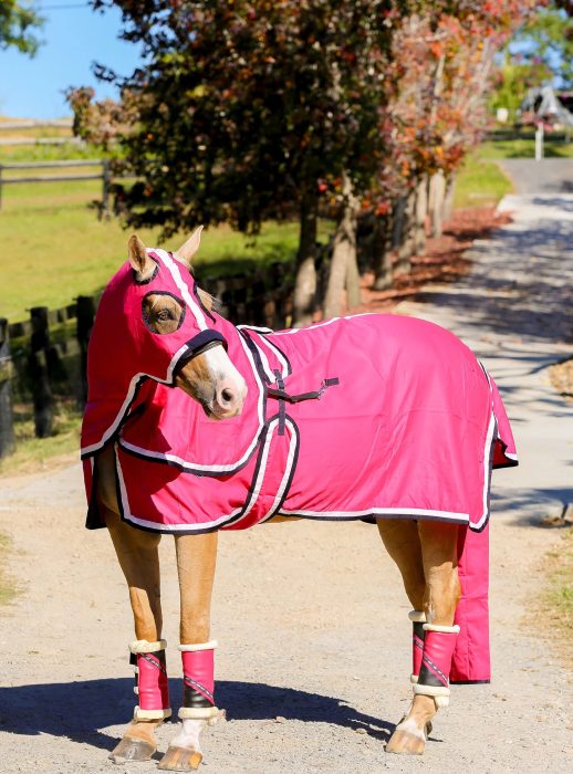 Gala Hot Pink Show Set with White & Navy Trim 6’3 - Image 2