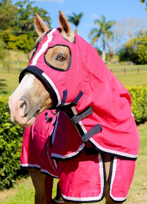 Gala Hot Pink Show Set with White & Navy Trim 6’3 - Image 3