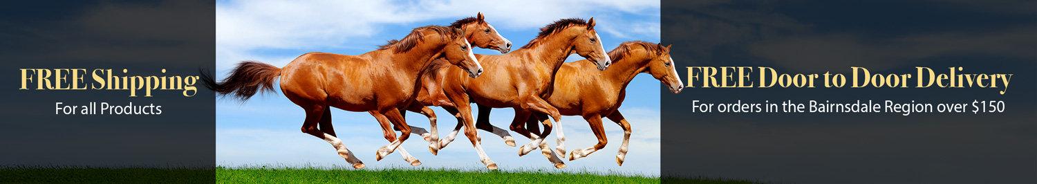 Free-Shipping-mobile-(Sept-2025)