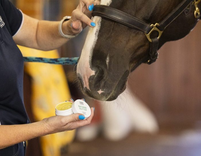 HSE Batana Butter - Image 3