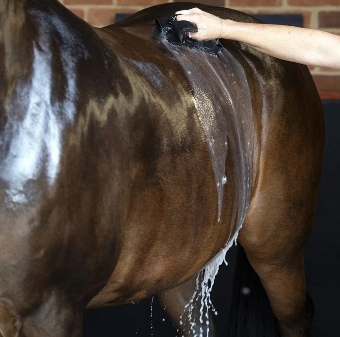 HSE Hot Oil Coat Conditioner - Image 2