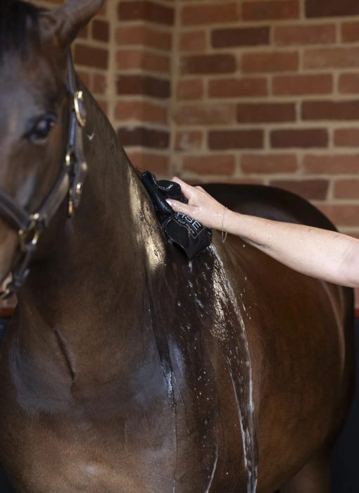 HSE Hot Oil Coat Conditioner - Image 6