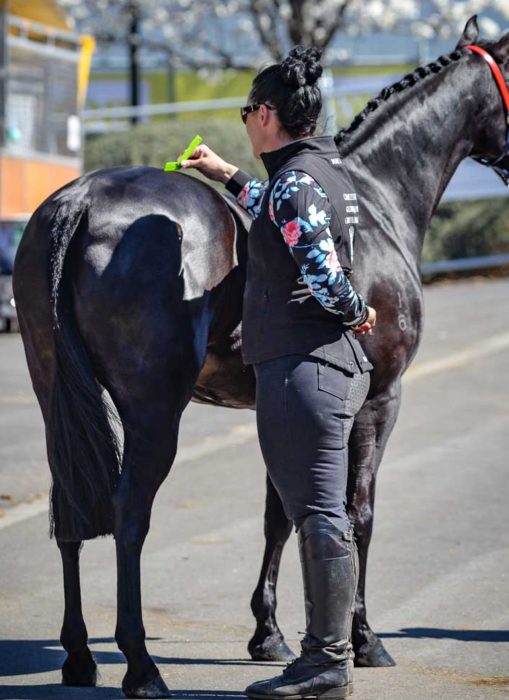 The Q Comb® - Image 3