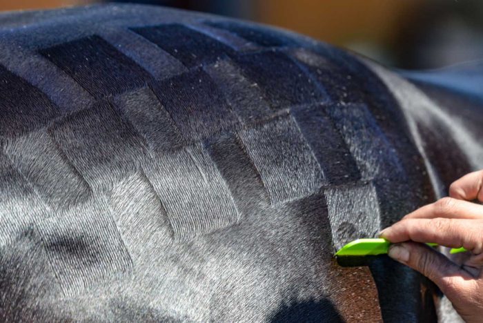 The Q Comb® - Image 5