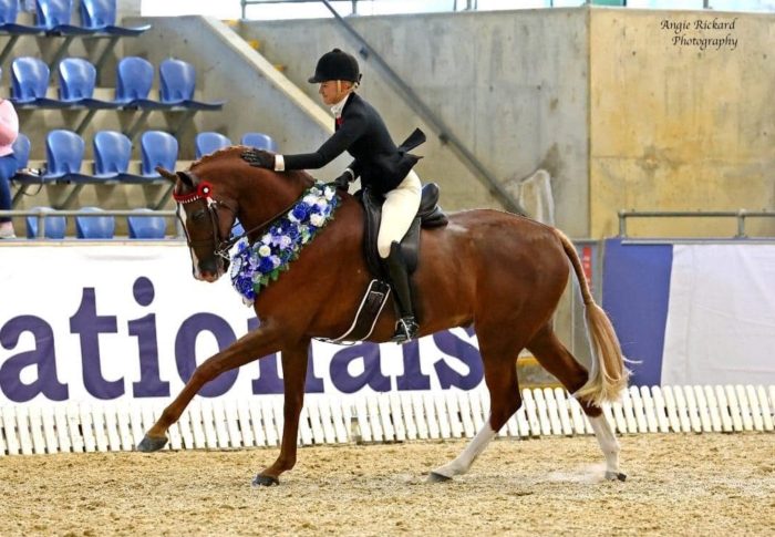 Oxley Outfitters Adult Black Airmesh Gloves - Image 2