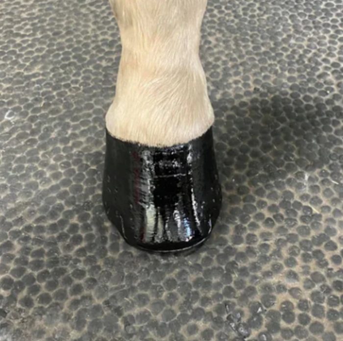 MP Diamond Polish & Sealer