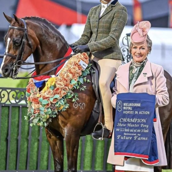 BARE UltraSlim 2-Tone Competition Tights - Hunter & Havana Brown