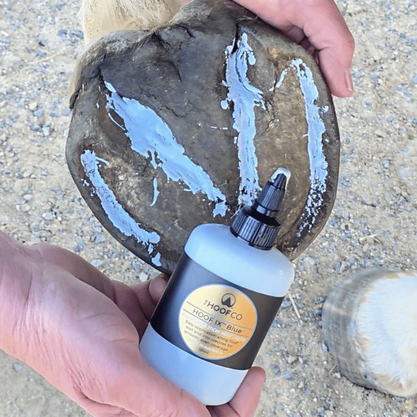HOOF IX™ BLUE Squeezable Hoof Liquid