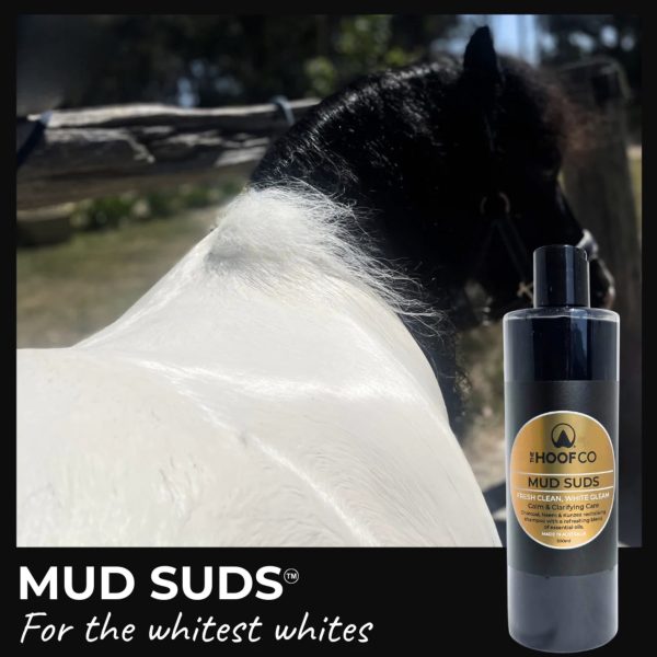 MUD SUDS CLARIFYING Charcoal Horse Shampoo